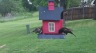 /Birds//Thumbs//found20250418-093313.png 