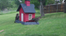 /Birds//Thumbs//found20250418-105912.png 