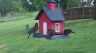 /Birds//Thumbs//found20250418-110156.png 
