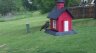 /Birds//Thumbs//found20250418-113530.png 