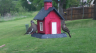 /Birds//Thumbs//found20250418-125322.png 