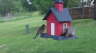 /Birds//Thumbs//found20250418-125501.png 