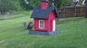 /Birds//Thumbs//found20250418-125924.png 