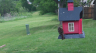 /Birds//Thumbs//found20250418-130907.png 