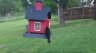 /Birds//Thumbs//found20250418-131552.png 