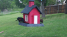 /Birds//Thumbs//found20250418-131634.png 