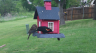 /Birds//Thumbs//found20250418-131639.png 
