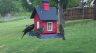 /Birds//Thumbs//found20250418-131900.png 