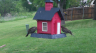 /Birds//Thumbs//found20250418-131936.png 