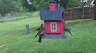/Birds//Thumbs//found20250418-132016.png 