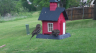 /Birds//Thumbs//found20250418-132059.png 