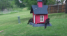 /Birds//Thumbs//found20250418-140508.png 