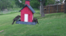 /Birds//Thumbs//found20250418-141324.png 