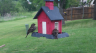 /Birds//Thumbs//found20250418-142900.png 