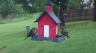 /Birds//Thumbs//found20250419-072519.png 