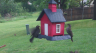 /Birds//Thumbs//found20250419-073717.png 