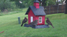 /Birds//Thumbs//found20250419-073825.png 