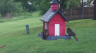 /Birds//Thumbs//found20250419-073914.png 