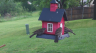 /Birds//Thumbs//found20250419-074208.png 