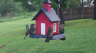 /Birds//Thumbs//found20250419-074401.png 
