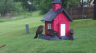 /Birds//Thumbs//found20250419-074902.png 