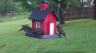 /Birds//Thumbs//found20250419-074915.png 