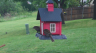 /Birds//Thumbs//found20250419-075729.png 