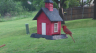 /Birds//Thumbs//found20250419-080323.png 
