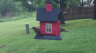 /Birds//Thumbs//found20250419-080752.png 