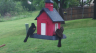 /Birds//Thumbs//found20250419-081242.png 