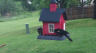 /Birds//Thumbs//found20250419-081307.png 