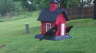/Birds//Thumbs//found20250419-081515.png 