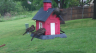 /Birds//Thumbs//found20250419-083241.png 