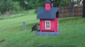 /Birds//Thumbs//found20250419-083540.png 