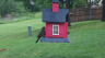 /Birds//Thumbs//found20250419-084606.png 