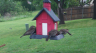 /Birds//Thumbs//found20250419-084758.png 