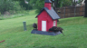 /Birds//Thumbs//found20250419-084927.png 
