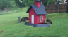 /Birds//Thumbs//found20250419-093206.png 