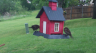 /Birds//Thumbs//found20250419-093806.png 