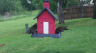 /Birds//Thumbs//found20250419-095410.png 