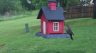 /Birds//Thumbs//found20250419-095433.png 