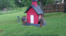 /Birds//Thumbs//found20250419-104526.png 