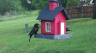 /Birds//Thumbs//found20250419-105455.png 