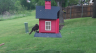 /Birds//Thumbs//found20250419-115535.png 
