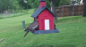 /Birds//Thumbs//found20250419-130743.png 