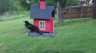 /Birds//Thumbs//found20250419-135312.png 