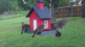 /Birds//Thumbs//found20250419-173810.png 