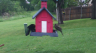 /Birds//Thumbs//found20250420-072551.png 