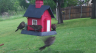/Birds//Thumbs//found20250420-075620.png 