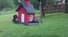 /Birds//Thumbs//found20250420-080310.png 